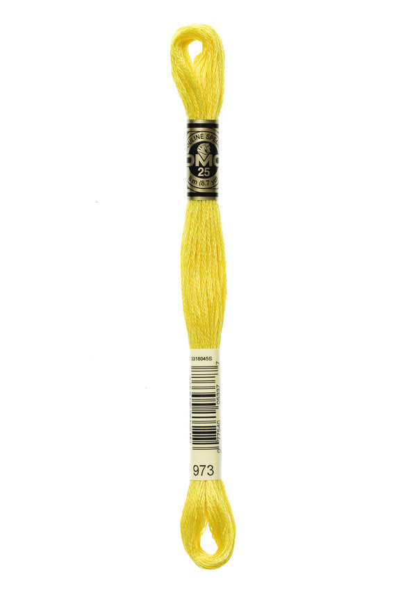 DMC: Mouliné Spécial: Hilo de bordar tonos naranja y amarillo: 100 % algodón, 8 m