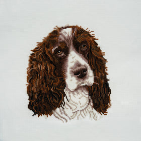 Trimits Counted Cross Stitch Kit Large: Springer Spaniel, 36x36cm, Includes Aida Fabric, Pre-Sorted Threads, Needle, Personalizing Alph...