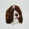 Kit de punto de cruz contado Trimits Ð Grande: Springer Spaniel, 36 x 36 cm, incluye tela Aida, hilos preclasificados, aguja, alfabeto personalizable, instrucciones en inglés, francés y alemán