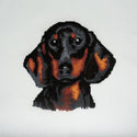 Trimits Counted Cross Stitch Kit Ð Large: Dachshund, 36x36cm, Includes Aida Fabric, Pre-Sorted Threads, Needle, Personalizing Alphabet, Instructions in English, French, German