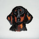 Trimits Counted Cross Stitch Kit Ð Large: Dachshund, 36x36cm, Includes Aida Fabric, Pre-Sorted Threads, Needle, Personalizing Alphabet, Instructions in English, French, German-3