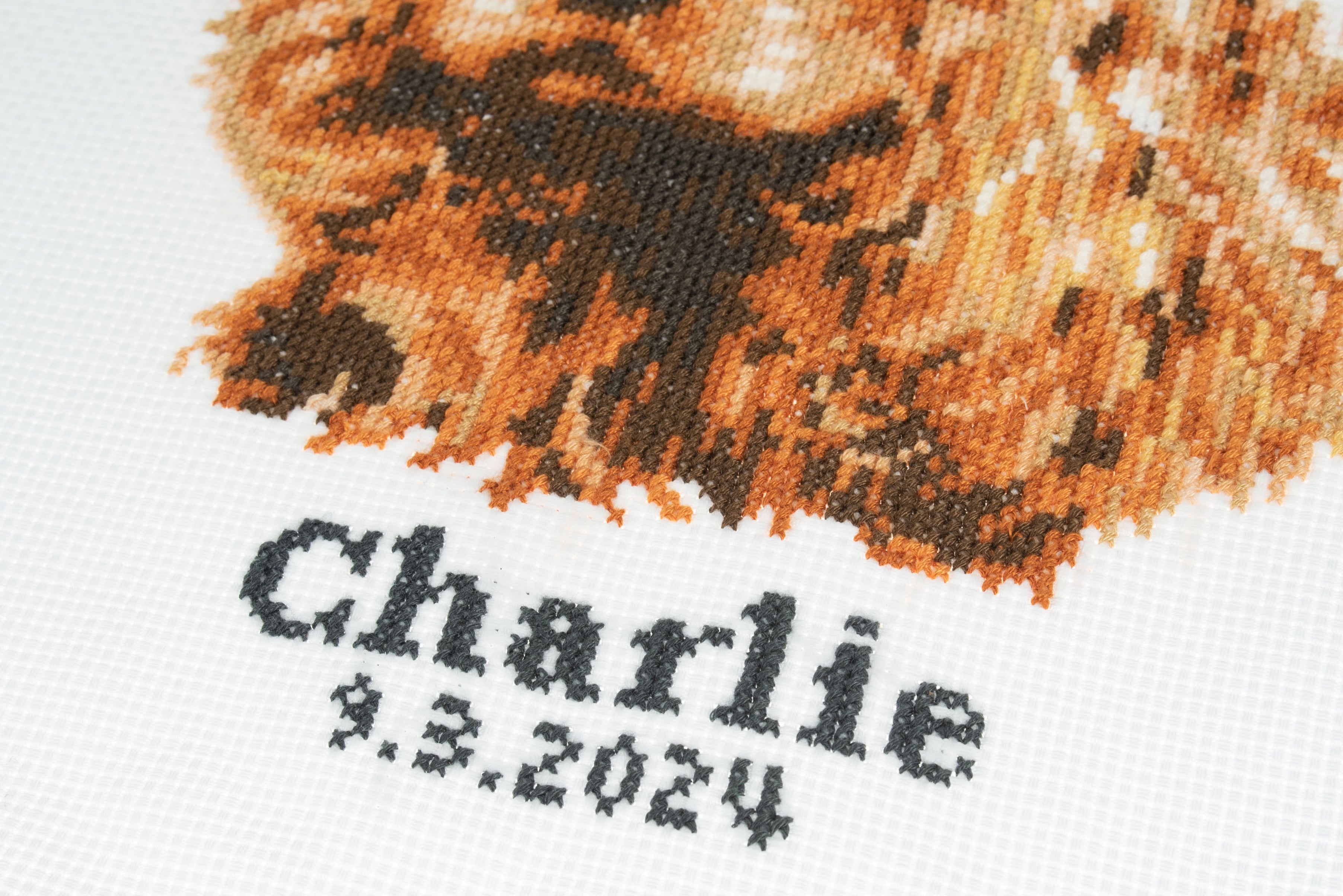 Trimits Counted Cross Stitch Kit Ð Large: Cocker Spaniel, 36x36cm, Includes Aida Fabric, Pre-Sorted Threads, Needle, Personalizing Alphabet, Instructions in English, French, German - 0