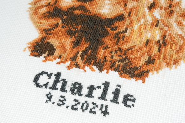 Trimits Counted Cross Stitch Kit Ð Large: Cocker Spaniel, 36x36cm, Includes Aida Fabric, Pre-Sorted Threads, Needle, Personalizing Alphabet, Instructions in English, French, German