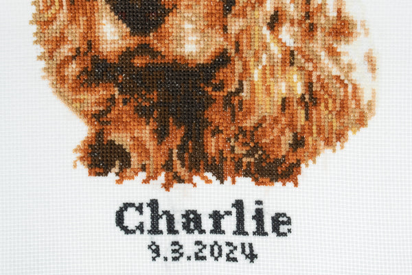 Trimits Counted Cross Stitch Kit Ð Large: Cocker Spaniel, 36x36cm, Includes Aida Fabric, Pre-Sorted Threads, Needle, Personalizing Alphabet, Instructions in English, French, German