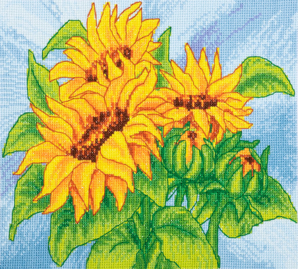 Trimits Counted Cross Stitch Kit Ð Large: Sunflowers, 36x36cm, Includes Aida Fabric, Pre-Sorted Threads, Needle, Personalizing Alphabet, Instructions in English, French, German