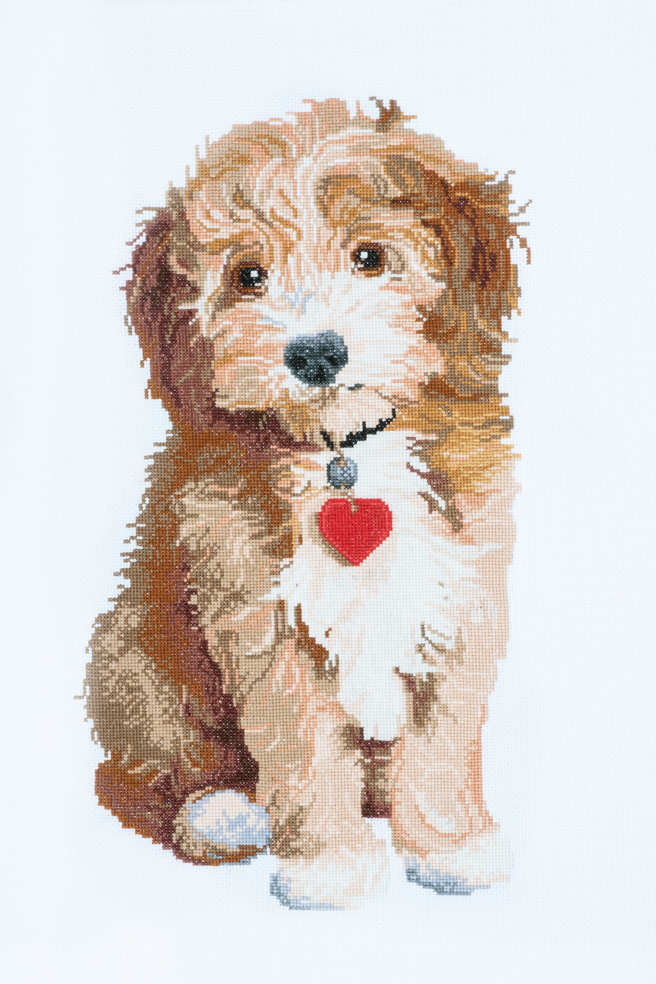 Trimits Counted Cross Stitch Kit Ð Large: Dog, 36x36cm, Includes Aida Fabric, Pre-Sorted Threads, Needle, Personalizing Alphabet, Instructions in English, French, German