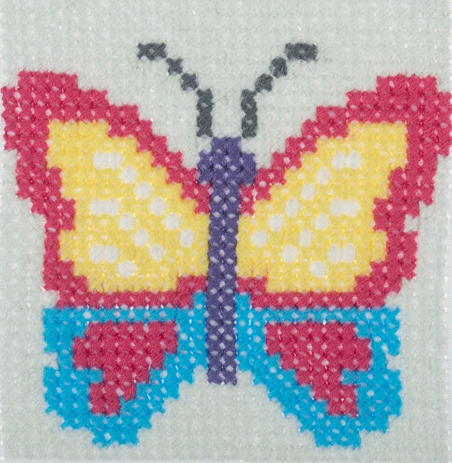 Trimits Counted Cross Stitch Kit Ð Butterfly, 6-Count Binca Fabric, Includes Pre-Sorted Threads, Needle, Instructions in English, French, German - 0