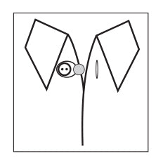 Hemline Collar Expanders: Metal - Assorted - 3pcs - 0