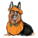 Simplicity Sewing Pattern S9497 PET ACCESSORIES-6