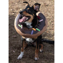 Simplicity Sewing Pattern S9582 PET ELIZABETHAN COLLARS BY CARLA REISS-2