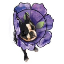 Simplicity Sewing Pattern S9582 PET ELIZABETHAN COLLARS BY CARLA REISS-6