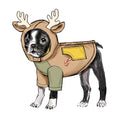 Simplicity Sewing Pattern S9663 PET COATS WITH OPTIONAL HOODS AND COWLS IN SIZES S-M-L AND ADULT COWL