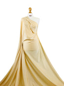 Shiny Swimwear 4 Way Stretch Fabric-18